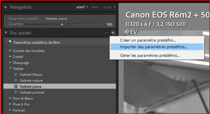 ISO automatique dans LR (pro) - Photo n°1