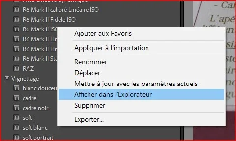 ISO automatique dans LR (pro) - Photo n°2