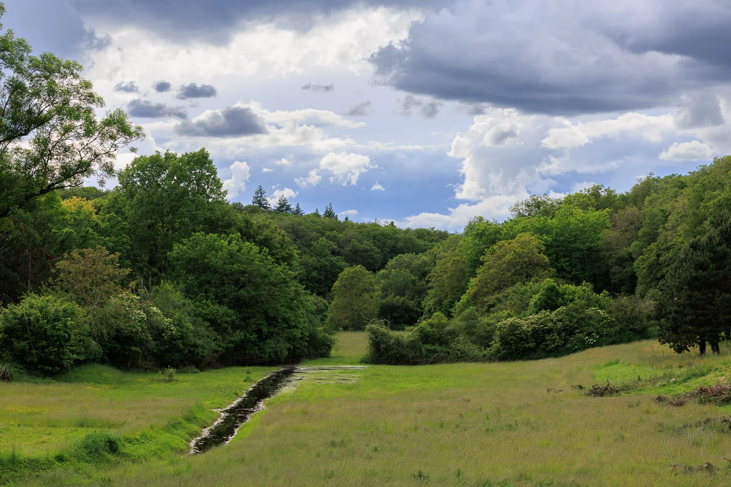 Morthemer - Photo n°29